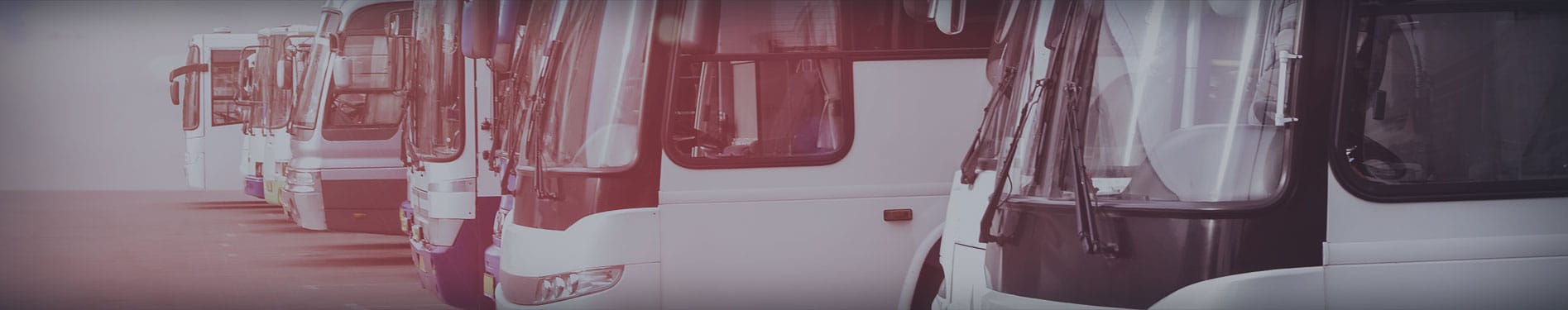 Car Accidents Involving Buses